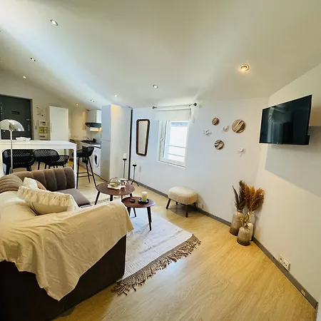 Erasmus Lejlighed Lyon