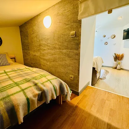 Apartment Erasmus Lyon