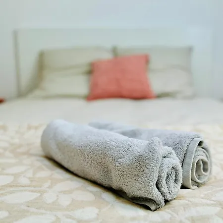 Lejlighed Erasmus Lyon