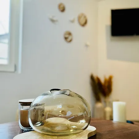 Apartamento Erasmus Lyon